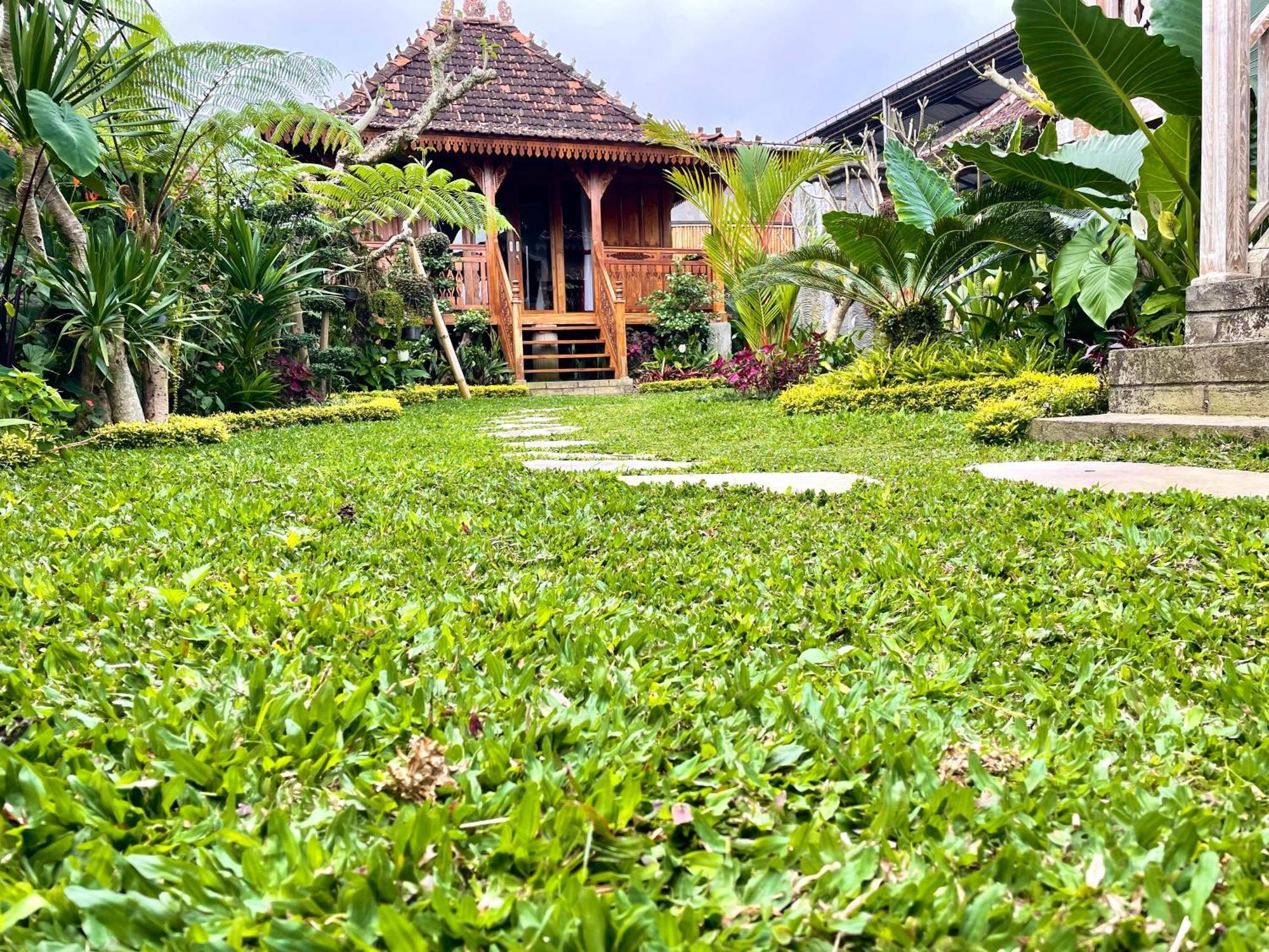 Jane'S House & Spa Bedugul Bali Patjung Dış mekan fotoğraf
